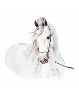 Naklejka na ścianę dla dzieci biały koń konie naklejki studiograf