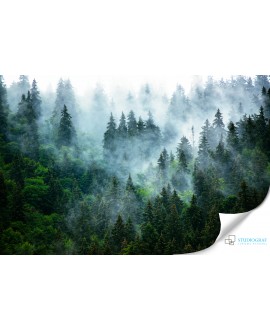 Fototapeta 3D na ścianę  na wymiar  flizelinowa las we mgle drzewa mgła góry tapeta zieleń zielony studiograf
