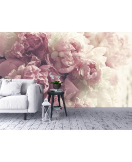Fototapeta 3D na ścianę  na wymiar  flizelinowa tapeta duże kwiaty różowe piwonie piwonia studiograf