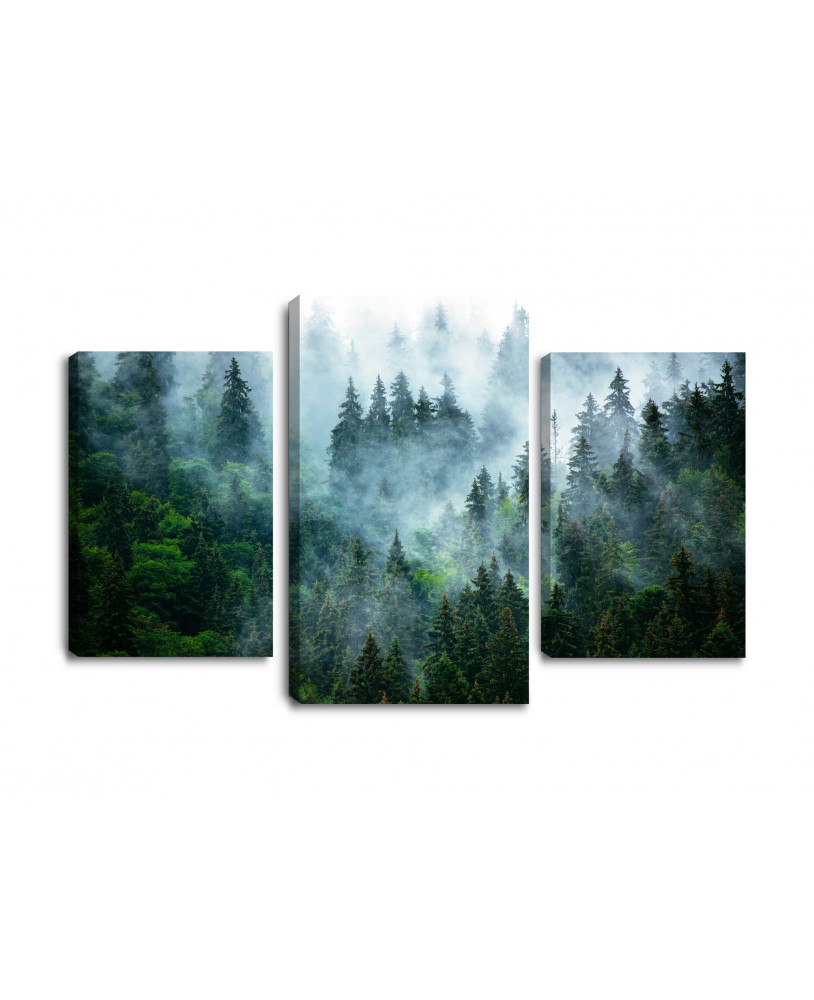 Obraz na płótnie canvas tryptyk potrójny obraz nowoczesny las we mgle mgła góry pejzaż krajobraz studiograf