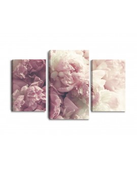 Obraz na płótnie canvas tryptyk potrójny obraz nowoczesny piwonie kwiaty różowe kwiatuszki studiograf