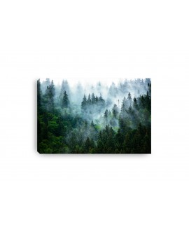 Obraz na płótnie canvas duży nowoczesny lase we mgle drzewa góry mgła krajobraz zieleń studiograf
