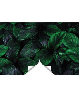 Fototapeta 3D na ścianę  na wymiar  flizelinowa tropikalne zielone liście dżungla tapeta do sypialni salonu studiograf