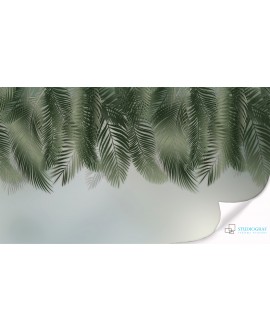 Fototapeta 3D na ścianę  na wymiar  flizelinowa zielone liście palmy na szarym tle nowoczesna tapeta studiograf