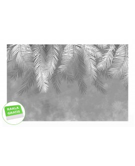 Fototapeta 3D na ścianę  na wymiar  flizelinowa boho liście palmy pióra neutralna tapeta studiograf
