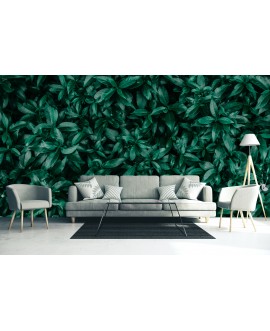 Fototapeta 3D na ścianę  na wymiar  flizelinowa zielone liście struktura rośliny zielona ściana studiograf