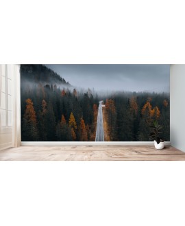 Fototapeta 3D na ścianę  na wymiar  flizelinowa jesienny las we mgle droga przez las drzewa studiograf