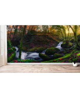 Fototapeta 3D na ścianę  na wymiar  flizelinowa drzewa leśny strumień rzeka kwiaty las tapeta do salonu sypialni studiograf