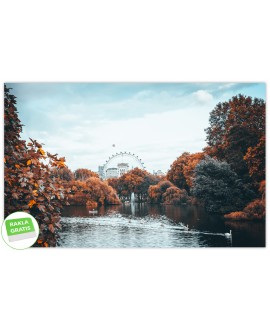 Fototapeta 3D na ścianę  na wymiar  flizelinowa Londyn jezioro park łabędzie jesienne drzewa studiograf