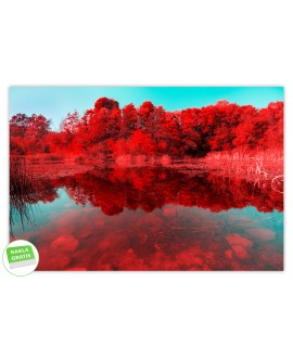 Fototapeta 3D na ścianę  na wymiar  flizelinowa czerwone drzewa nad jeziorem jezioro tapeta do salonu sypialni studiograf