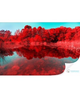 Fototapeta 3D na ścianę  na wymiar  flizelinowa czerwone drzewa nad jeziorem jezioro tapeta do salonu sypialni studiograf
