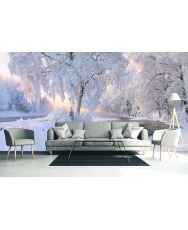 Fototapeta 3D na ścianę  na wymiar  flizelinowa zimowa sceneria drzewa jezioro tapeta do salonu sypialni studiograf