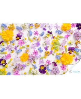 Fototapeta 3D na ścianę  na wymiar  flizelinowa kolorowe kwiaty tapeta do salonu sypialni studiograf