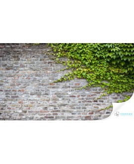 Fototapeta 3D na ścianę  na wymiar  flizelinowa ściana z cegieł cegły porośnięte bluszczem studiograf