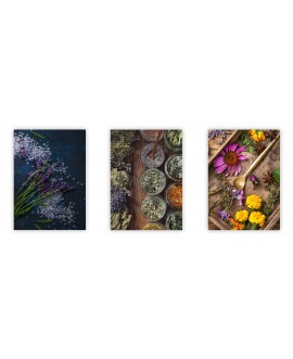 Zestaw 3 plakatów obrazków grafik zioła przyprawy kwiaty sól lawenda plakaty do kuchni studiograf