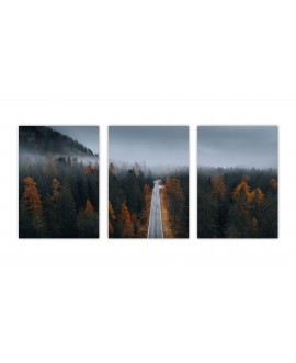 Zestaw 3 plakatów obrazków grafik plakaty droga przez las jesienne drzewa mgła studiograf