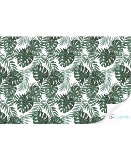 Fototapeta 3D na ścianę  na wymiar flizelinowa monstera tropikalne liście zielone studiograf