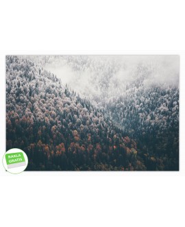 Fototapeta 3D na ścianę  na wymiar flizelinowa śnieg las jesienne góry drzewa studiograf
