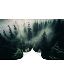 Fototapeta 3D na ścianę  na wymiar flizelinowa zielone drzewa las we mgle studiograf