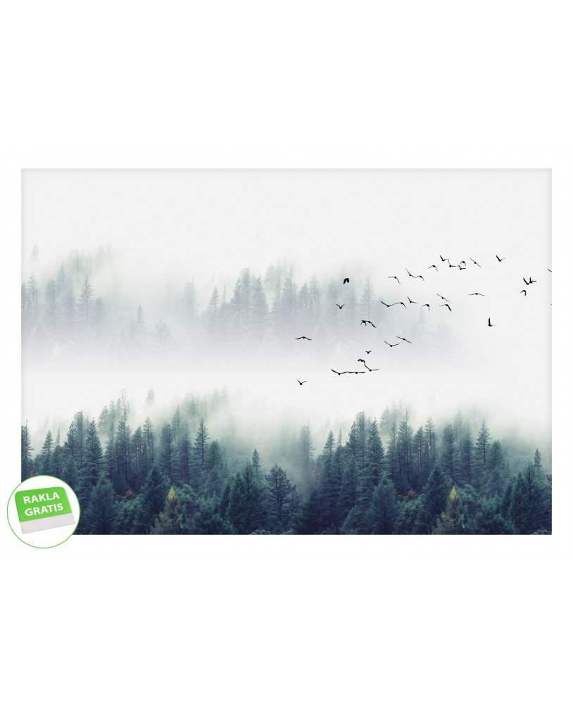 Fototapeta 3D na ścianę  na wymiar flizelinowa samoprzylepna góry las drzewa mgła ptaki studiograf