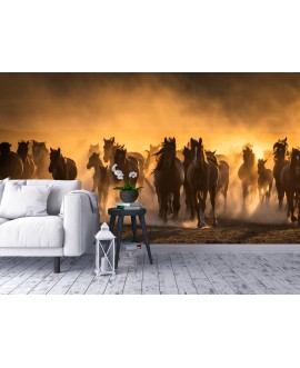 Fototapeta 3D na ścianę  na wymiar flizelinowa konie zachód słońca galopujący koń studiograf