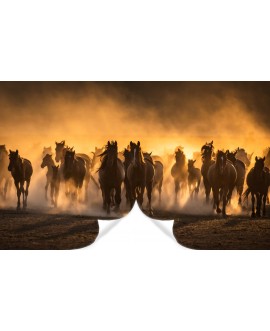 Fototapeta 3D na ścianę  na wymiar flizelinowa konie zachód słońca galopujący koń studiograf